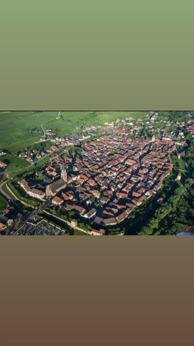 Gite Boniface Pour 2 Pers Bergheim Extérieur photo