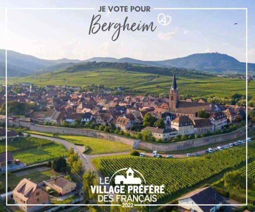 Gite Boniface Pour 2 Pers Bergheim Extérieur photo