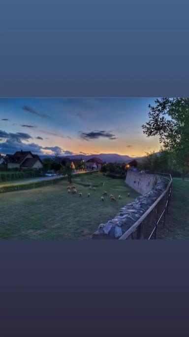 Gite Boniface Pour 2 Pers Bergheim Extérieur photo