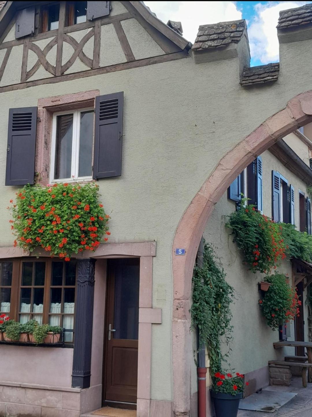 Gite Boniface Pour 2 Pers Bergheim Extérieur photo